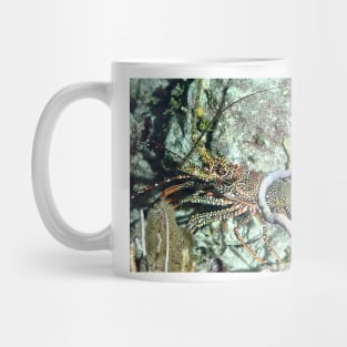 Spotted Lobster at night Mug